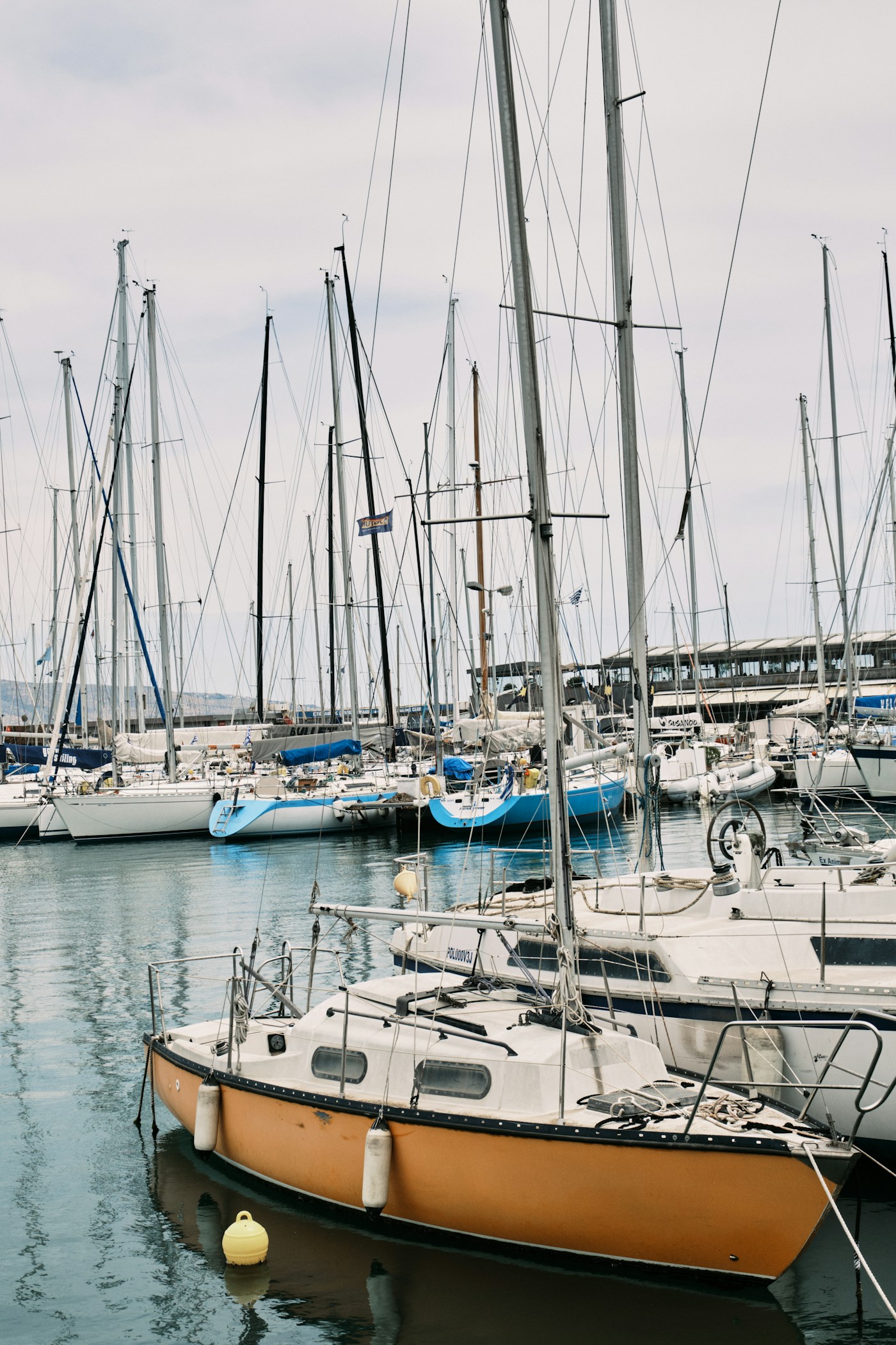 Segelboote in einem ruhigen Hafen vor einer Bergkulisse